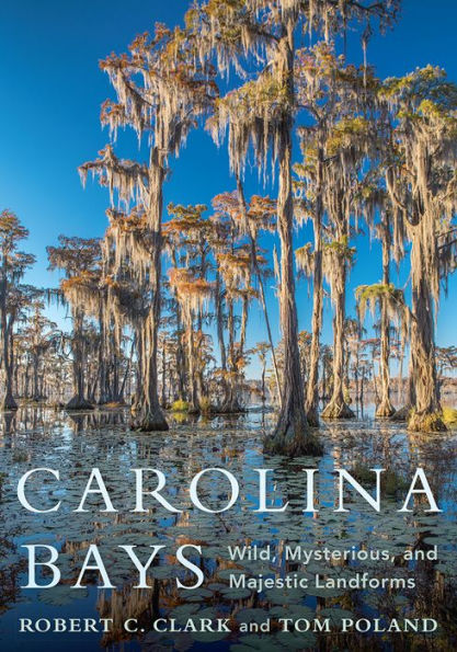 Carolina Bays: Wild, Mysterious, and Majestic Landforms