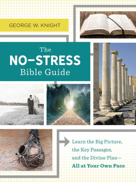 The No-Stress Bible Guide: Learn the Big Picture, the Key Passages, and the Divine Plan-All at Your Own Pace