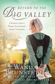 Title: Return to the Big Valley, Author: Wanda E. Brunstetter