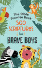 Alternative view 1 of Bible Promise Book: 500 Scriptures for Brave Boys