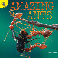 Title: Amazing Ants, Author: Brown