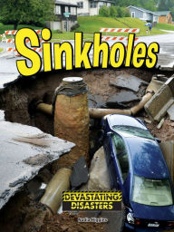 Title: Sinkholes, Author: Higgins