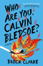 Who Are You, Calvin Bledsoe?: A Novel