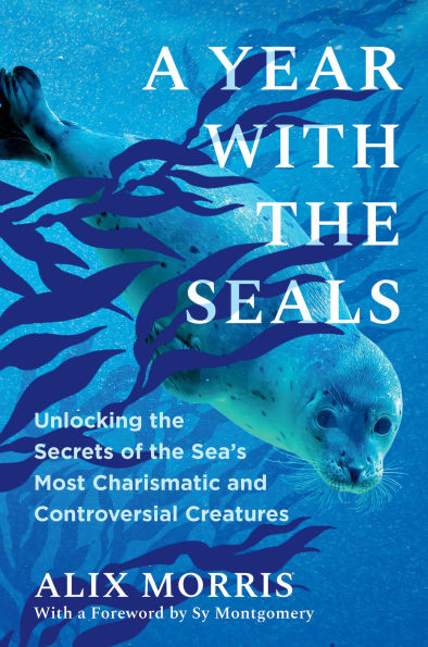 A Year with the Seals: Unlocking Secrets of Sea's Most Charismatic and Controversial Creatures