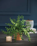 Alternative view 4 of Felt Flower Workshop: A Modern Guide to Crafting Gorgeous Plants & Flowers from Fabric