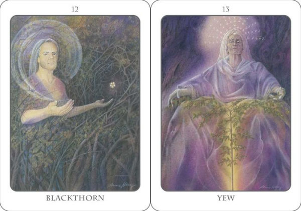 The Tree Angel Oracle Deck: The Ancient Path into the Sacred Grove