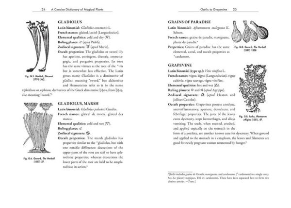 Occult Botany: Sédir's Concise Guide to Magical Plants