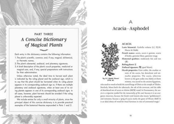 Occult Botany: Sédir's Concise Guide to Magical Plants