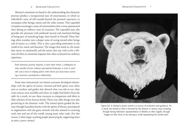 Shamanic Creativity: Free the Imagination with Rituals, Energy Work, and Spirit Journeying
