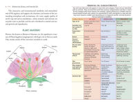 Alternative view 3 of Healing with Essential Oils: The Antiviral, Restorative, and Life-Enhancing Properties of 58 Plants