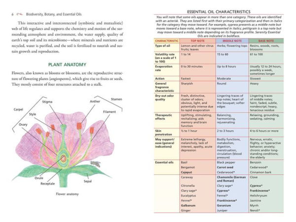 Healing with Essential Oils: The Antiviral, Restorative, and Life-Enhancing Properties of 58 Plants