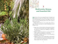 Alternative view 4 of Healing with Essential Oils: The Antiviral, Restorative, and Life-Enhancing Properties of 58 Plants