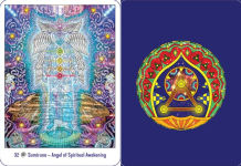 Alternative view 6 of The Amazonian Angel Oracle: Working with Angels, Devas, and Plant Spirits