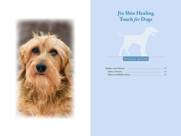 Jin Shin for Cats and Dogs: Healing Touch for Your Animal Companions