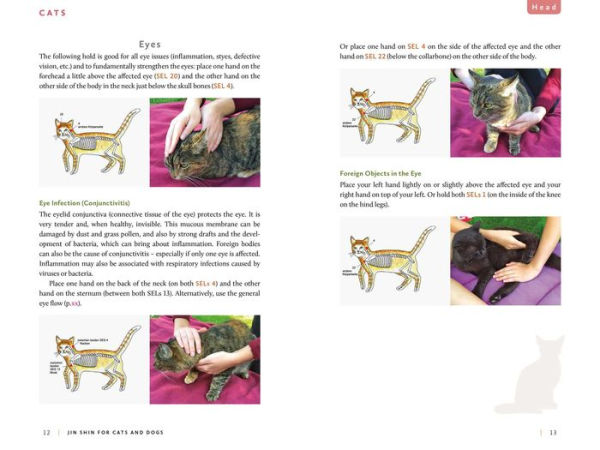 Jin Shin for Cats and Dogs: Healing Touch for Your Animal Companions