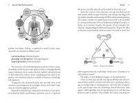 Alternative view 4 of Ayurveda for Obesity and Gut Health: The Natural Way to Overcome Weight Imbalances for Your Body Type