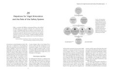 Alternative view 2 of The Biodynamics of the Immune System: Balancing the Energies of the Body with the Cosmos