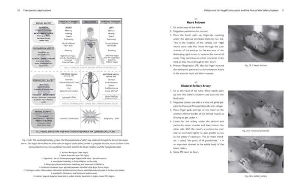 The Biodynamics of the Immune System: Balancing the Energies of the Body with the Cosmos