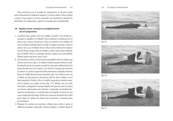 Chakras en la práctica chamánica: Ocho etapas de sanación y transformación