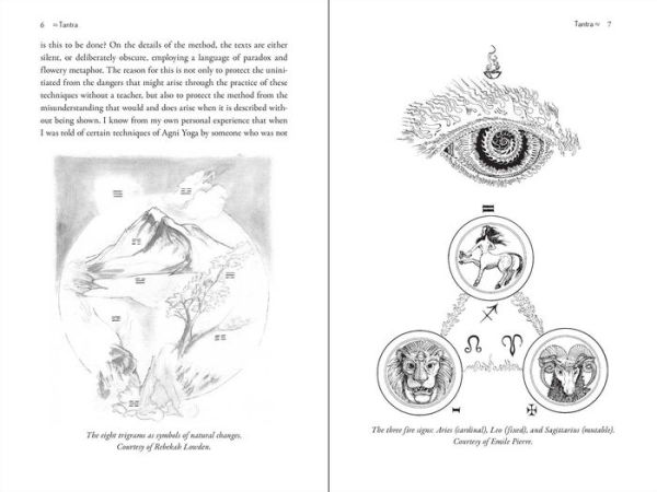 Maps of Consciousness: the Classic Text on Exploring Mind and Expanding Awareness