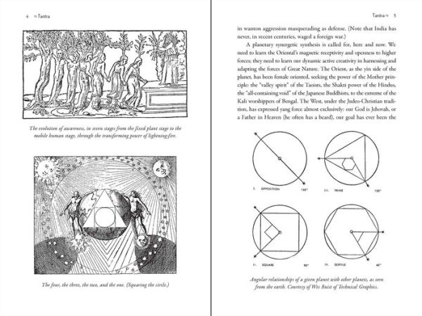 Maps of Consciousness: the Classic Text on Exploring Mind and Expanding Awareness