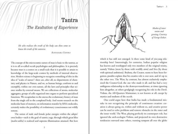 Maps of Consciousness: the Classic Text on Exploring Mind and Expanding Awareness