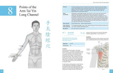 Alternative view 2 of The Definitive Guide to Acupuncture Points: Theory and Practice