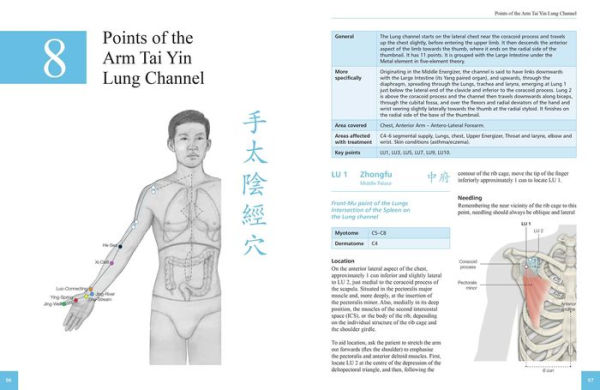 The Definitive Guide to Acupuncture Points: Theory and Practice