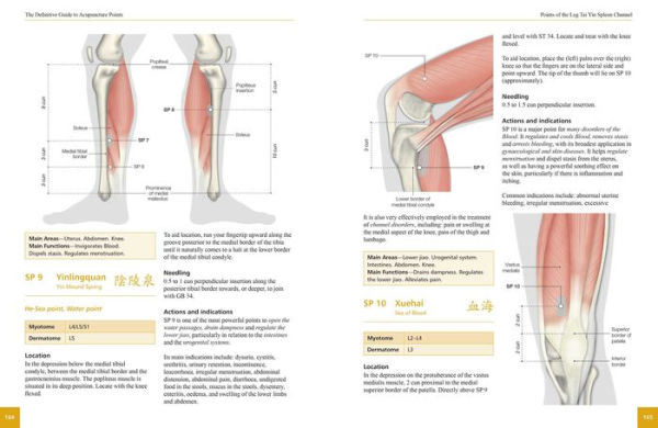 The Definitive Guide to Acupuncture Points: Theory and Practice