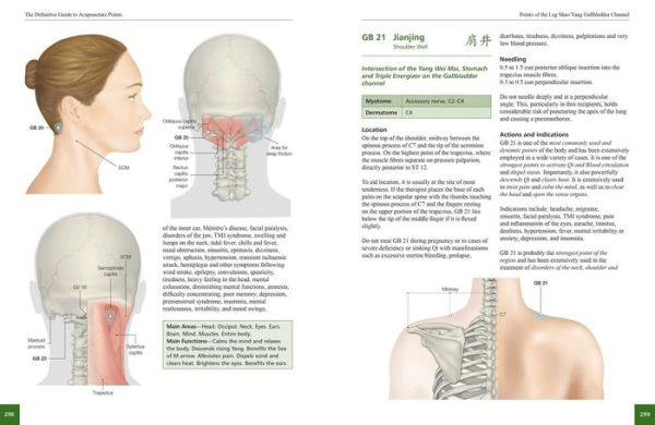 The Definitive Guide to Acupuncture Points: Theory and Practice