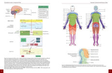 Alternative view 5 of The Definitive Guide to Acupuncture Points: Theory and Practice