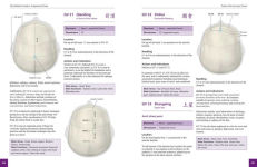 Alternative view 7 of The Definitive Guide to Acupuncture Points: Theory and Practice