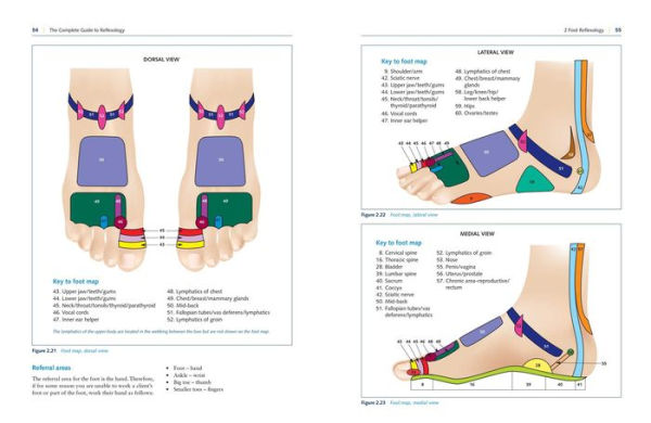 The Complete Guide to Reflexology