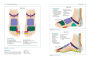 Alternative view 2 of The Complete Guide to Reflexology