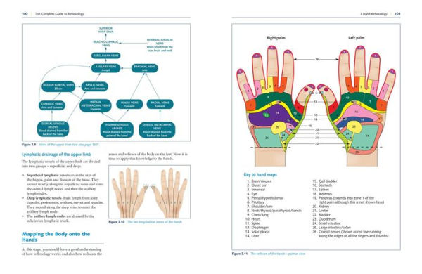 The Complete Guide to Reflexology