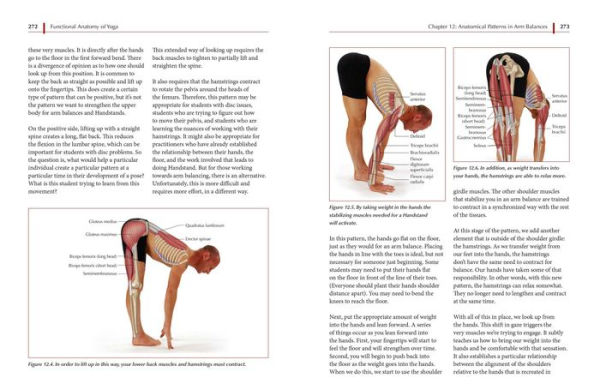 Yoga Anatomy Book - Functional Anatomy of Yoga by David Keil