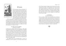 Alternative view 14 of Tarot de los espíritus de la naturaleza: Un mazo de 78 cartas y un libro para el viaje del alma