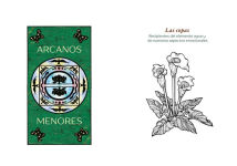 Alternative view 4 of Tarot de los espíritus de la naturaleza: Un mazo de 78 cartas y un libro para el viaje del alma