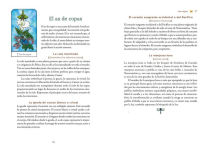 Alternative view 5 of Tarot de los espíritus de la naturaleza: Un mazo de 78 cartas y un libro para el viaje del alma