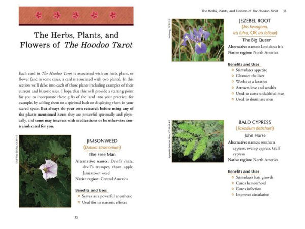 The Hoodoo Tarot Workbook: Rootwork, Rituals, and Divination