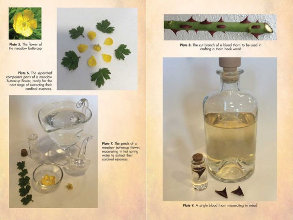 Flower Magic of the Druids: How to Craft Potions, Spells, and Enchantments