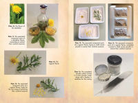 Alternative view 4 of Flower Magic of the Druids: How to Craft Potions, Spells, and Enchantments
