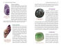 Alternative view 12 of Crystals for Psychic Self-Defense: 145 Gemstones for Banishing, Binding, and Magickal Protection