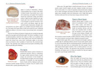 Alternative view 16 of Crystals for Psychic Self-Defense: 145 Gemstones for Banishing, Binding, and Magickal Protection