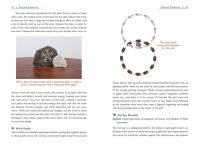 Alternative view 6 of Crystals for Psychic Self-Defense: 145 Gemstones for Banishing, Binding, and Magickal Protection