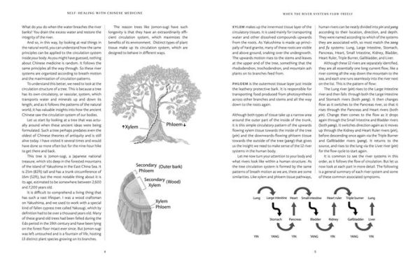 Self-Healing with Chinese Medicine: A Home Guide to Treating Common Ailments