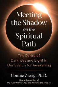 Books to download to ipod free Meeting the Shadow on the Spiritual Path: The Dance of Darkness and Light in Our Search for Awakening by Connie Zweig, Connie Zweig 9781644117224 