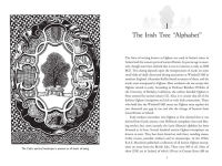 Alternative view 3 of Celtic Tree Alphabets: Mystic Signs and Symbols of Ogham and Coelbren