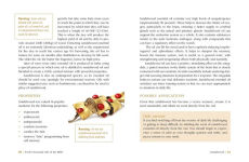 Alternative view 5 of Twelve Essential Oils of the Bible: Ancient Healing Oils and Their Contemporary Uses