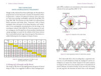 Alternative view 4 of The Tao of Cosmos: The Holographic Unity of Heaven, Earth, and Humankind